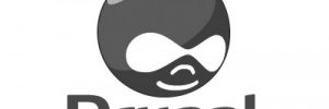 drupal.org